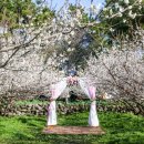 신례동로 이미지