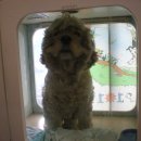 만세동물병원 이미지