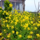 햇귀풍경 이미지