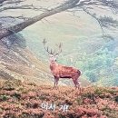 더퀸 - 동대문구 황물로 168 | 더퀸