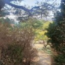 신흥말길1-7 | 건강한데 맛있는 한정식 카페피노 아씨뜰 연잎 한정식 솔직후기