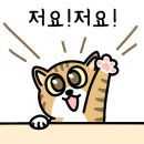 영광떡 이미지