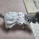 지영의류 이미지