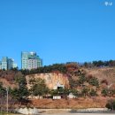 비블파크 | 문화비축기지 전시 원더러스트 Wonder Lust 디지털전시