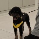 밤비동물병원 이미지