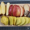 성환 행정사 사무소 이미지