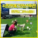 도그앤스테이 이미지