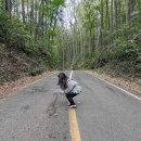 왕눈이농장 | 보홀 자유여행 필수 코스, 가족이랑 다녀온 단시간 육상투어