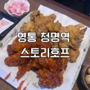 호프만치킨 | 영통 청명역 노포 술집 스토리호프 치킨 맛집