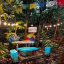 여놀자 | [제주 비자림 입장료·소요시간 총정리] 맨발 산책길 후기 + 근처 맛집 5선 완벽 정리!