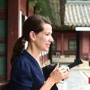 한국전장 이미지