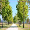 여강길(3-1코스 강천섬길) 이미지