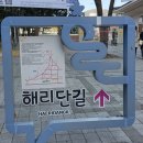 다대포하나약국 | 3박 4일 부산여행