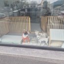 몽몽이발소 이미지