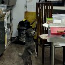 봉자쿠키 이미지