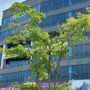 미소부동산중개사무소 이미지