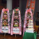 입실초등학교 Daum카페