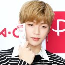 멍뭉 멍뭉 이미지