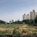 수원-1376 이미지