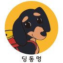 딩동멍 네이버블로그
