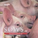 모돈 - 북구 자미로66번길 10 | 모돈