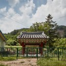 강영천 효자문 이미지