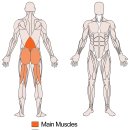 크로스핏 러쉬 이미지