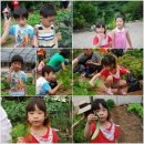 새둥지마을 이미지