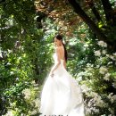 이지은미용실 | 대구웨딩샵 이지은웨딩 드레스 선택 후기