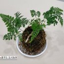 와우리교회 이미지