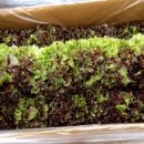 청정2농장 이미지