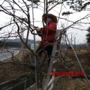 덕이네농장 네이버블로그