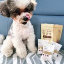 사계절집밥 | 수의사가 만든 강아지화식 맛집 , 집밥특식 전주강아지떡갈비 후기