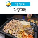 막창고래 이미지