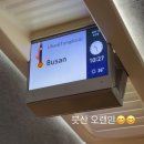 장어꼼장어나라 | 임신 중기 13주 ~ 20주 기록 : 니프티검사 성별, 임산부 방광염 증상 및 치료 후기
