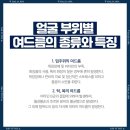 약손명가에스테틱 전주점