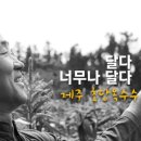 애월농부