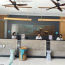 베라푸드 | 발리 여행 짱구 가볼만한곳 시타딘 베라와 주변 맛집