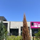 온:남성컷트