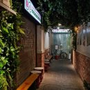 하남중학교 | 하남 스타필드 맛집 딤타오, 하가우부터 삼색소룡포까지 딤섬 정복 후기