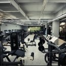 코사태권도 이미지