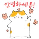 해모로코너공인중개사사무소 이미지