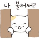 멍멍이PC 이미지