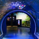 강릉경포그리고바다 이미지