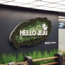 세진정보 | 우진해장국' vs 솥밥 나오는 찐 도민 맛집 '제주세진해장국' 내돈내산 솔직 후기 (가격, 반찬, 주차 팁)