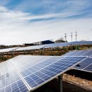 도전태양광발전소 이미지