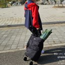 트랜스픽