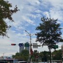 (유)황등큐마트 | 대만여행 일정 정리 4박5일 대만 자유여행 기록 (타이베이·가오슝)