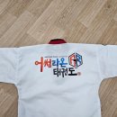어썸라온 태권도 이미지