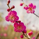 고양대로1432번길 이미지